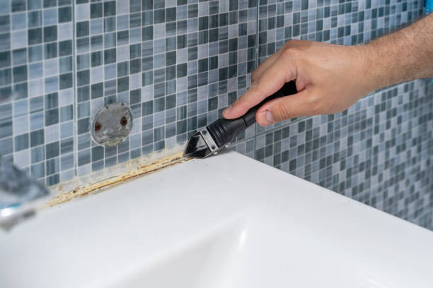 Best Best Mold Removal Companies  in Davenport, FL
